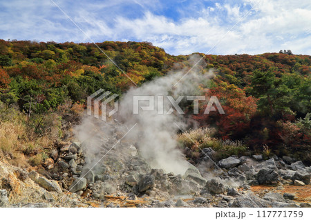秋の雲仙地獄の邪見地獄の風景 ( 11月 / 長崎県 雲仙市 ) 秋の雲仙地獄の邪見地獄の風景 ( 11月 / 長崎県 雲仙市 ) 117771759