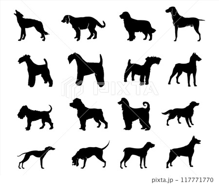 A collection of dog silhouettes in various poses and breeds. Perfect for pet lovers, veterinarians, or dog trainer. animal, canine, domestic, cute, friendly, loyal, companion 117771770