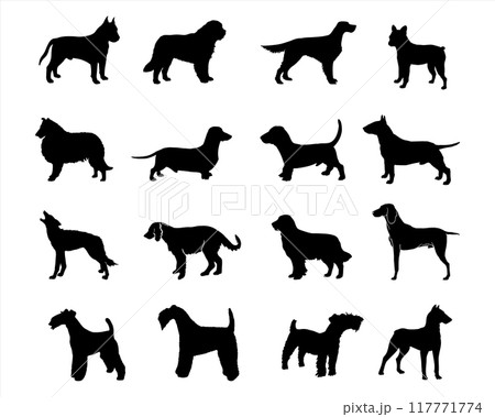 A collection of dog silhouettes in various poses and breeds. Perfect for pet lovers, veterinarians, or dog trainer. animal, canine, domestic, cute, friendly, loyal, companion A collection of dog silhouettes in various poses and breeds. Perfect for pet lovers, veterinarians, or dog trainer. animal, canine, domestic, cute, friendly, loyal, companion 117771774