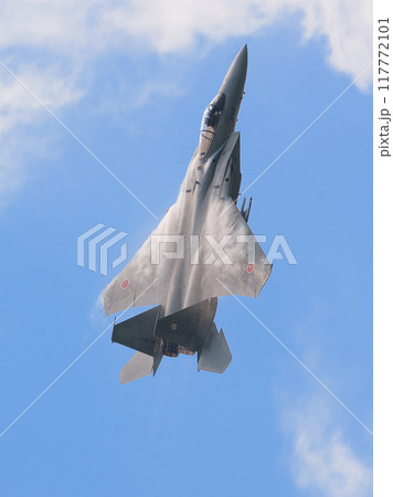 上昇する航空自衛隊第305飛行隊F-15Jイーグル 117772101