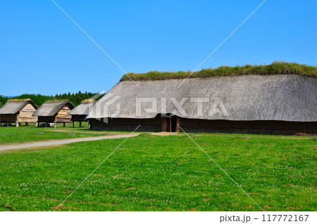 三内丸山遺跡 三内丸山遺跡 117772167
