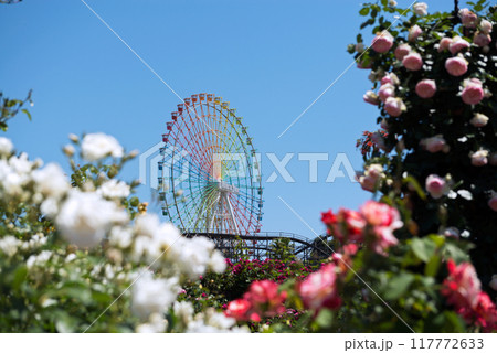 ひらかたパークのローズガーデン ひらかたパークのローズガーデン 117772633