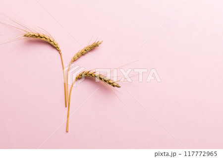 Sheaf of wheat ears close up and seeds on colored background. Natural cereal plant, harvest time concept. Top view, flat lay with copy space. world wheat crisis 117772965