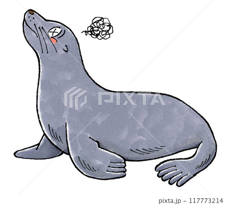 参るアシカ 117773214