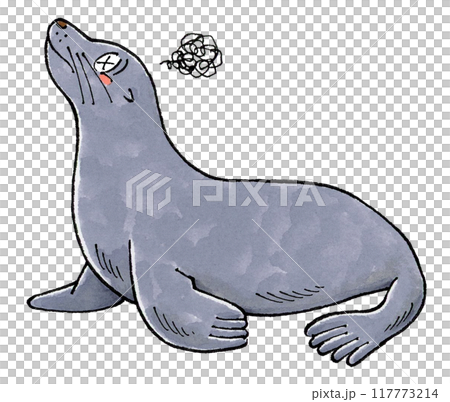 参るアシカ 117773214