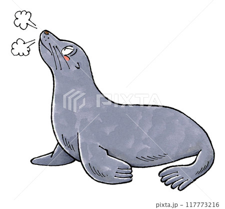 怒るアシカ 怒るアシカ 117773216