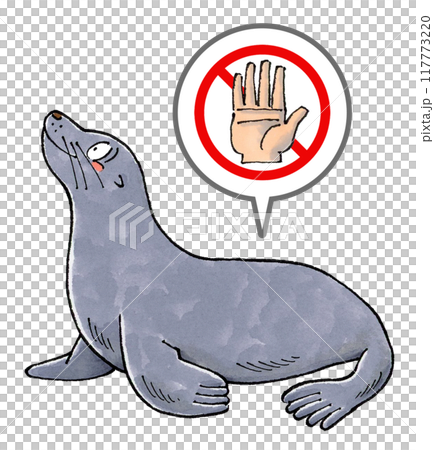 Do not touch sea lions sign 117773220