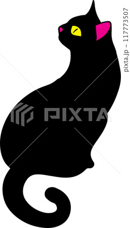 The Black cat for pet or halloween concept The Black cat for pet or halloween concept 117773507