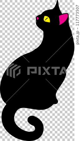 The Black cat for pet or halloween concept The Black cat for pet or halloween concept 117773507