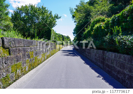 美しい町並みが続く知覧武家屋敷群(鹿児島県南九州市) 美しい町並みが続く知覧武家屋敷群(鹿児島県南九州市) 117773617