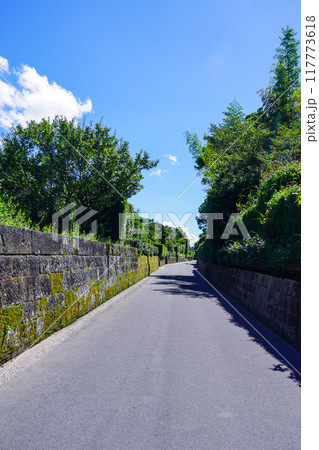 美しい町並みが続く知覧武家屋敷群(鹿児島県南九州市) 美しい町並みが続く知覧武家屋敷群(鹿児島県南九州市) 117773618
