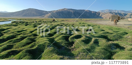 in tajikistan the beautiful land 117773891