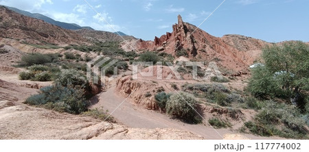 the beautiful land the beautiful land 117774002