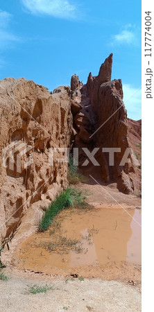 the beautiful land 117774004