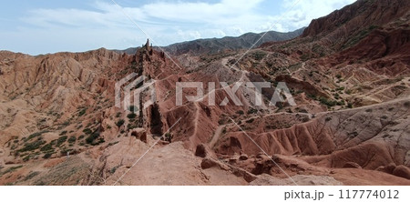 the beautiful land 117774012