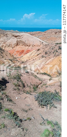 the beautiful land 117774147