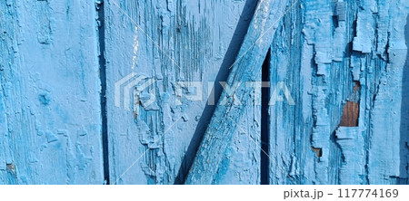 the beautiful land 117774169