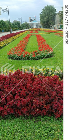 the beautiful land 117774200