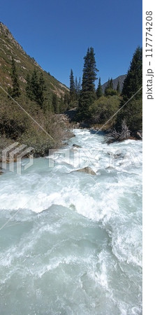 the beautiful land the beautiful land 117774208