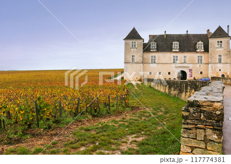 フランス世界遺産「ブルゴーニュのブドウ畑のクリマ」の構成資産「シャトー・デュ・クロ・ド・ヴージョ」 117774381