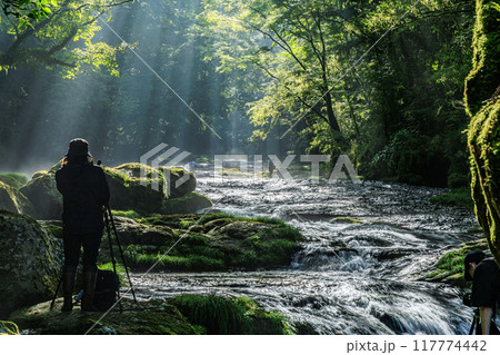 菊池渓谷 菊池渓谷 117774442