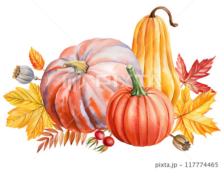 Fall composition. Pumpkin, dry leaves isolated watercolor illustration postcard, greeting arrangement. Vegetable pumpkin Fall composition. Pumpkin, dry leaves isolated watercolor illustration postcard, greeting arrangement. Vegetable pumpkin 117774465