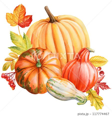 Pumpkin, autumn leaves isolated hand drawn watercolor illustration for postcard, poster design. Fall vegetable pumpkin 117774467