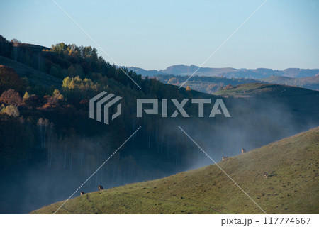 Morning mist in the mountains in a sunny autumn day 117774667