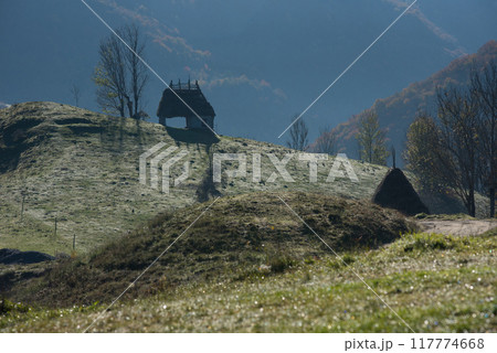 Mountain homestead in the autumn. House with thatched roof 117774668