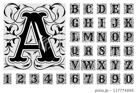 Decorative letters. Hand drawn ornate alphabet symbols numbers and letters recent vector vintage font 117774898