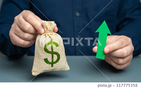 Man holding dollar money bag and green arrow pointing up, concept. Increase in profits and income. Salaries and benefits. Bigger budget, growth of financial resources. Money supply growth. 117775358