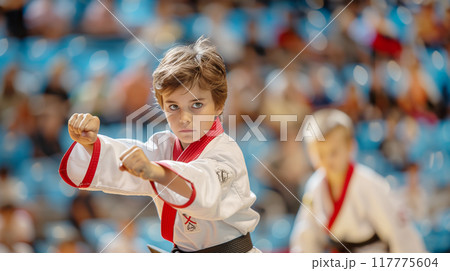 演武をする武術家 AI画像 演武をする武術家 AI画像 117775604