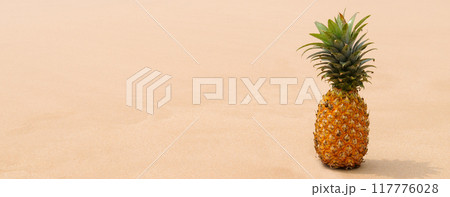 Exotic ripe pineapple with green crown placed on sandy coast near sea in tropical resort on summer day 117776028