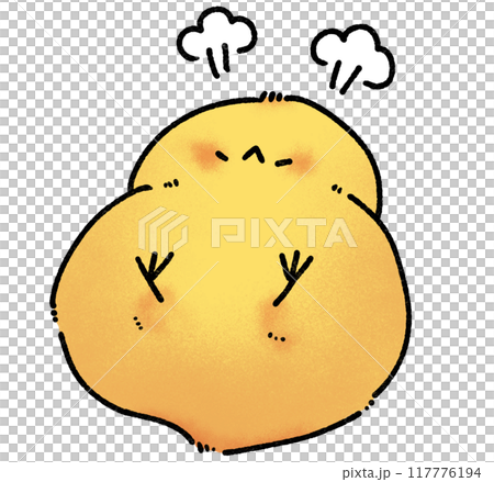 ぷんぷんひよこのイラスト 117776194
