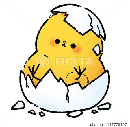 生まれたひよこのイラスト 生まれたひよこのイラスト 117776197