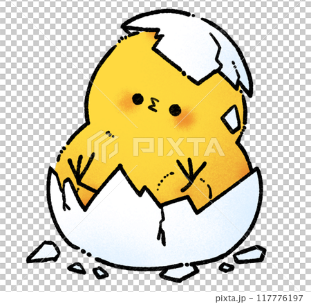 生まれたひよこのイラスト 生まれたひよこのイラスト 117776197