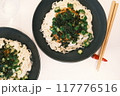 美味しそうな素麵 117776516