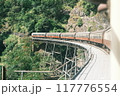 鉄橋を渡るローカル線 117776554