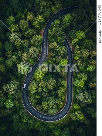 Flatlay. Highway road in the forest top view 117776649