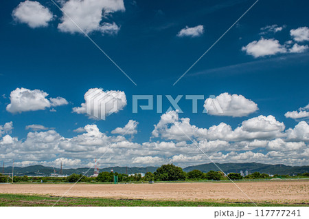 淀川河川公園の夏空風景 淀川河川公園の夏空風景 117777241