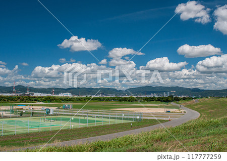 淀川河川公園夏景色 寝屋川市 淀川河川公園夏景色 寝屋川市 117777259