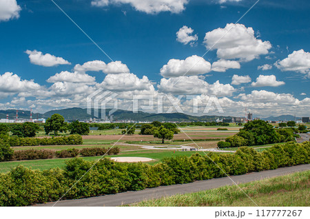夏の淀川河川公園太間地区　寝屋川市 117777267