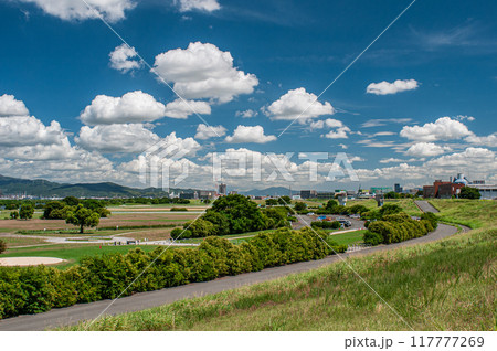 夏の淀川河川公園太間地区 寝屋川市 夏の淀川河川公園太間地区 寝屋川市 117777269