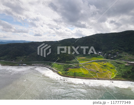 白米千枚田　空撮 117777349