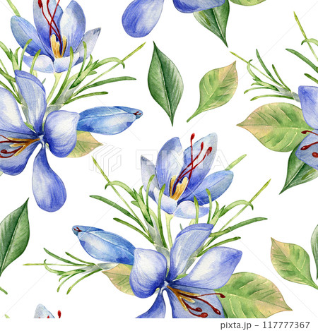 Saffron flowers watercolor in seamless pattern isolated on white. Crocus sativus on repeated botany background hand drawn. Spring blue plants leaves petals painted for design textile, floral package. Saffron flowers watercolor in seamless pattern isolated on white. Crocus sativus on repeated botany background hand drawn. Spring blue plants leaves petals painted for design textile, floral package. 117777367