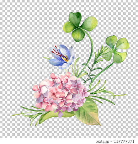 Pink hydrangea, clover and crocus watercolor illustration isolated. Painted spring flowers for Happy Easter. Hand drawn Irish symbol. Botanical art print for St Patrick day, package, home decor Pink hydrangea, clover and crocus watercolor illustration isolated. Painted spring flowers for Happy Easter. Hand drawn Irish symbol. Botanical art print for St Patrick day, package, home decor 117777371