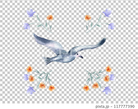 Bird blue grey color flying and floral arrangement hand drawn watercolor isolated. Dove of peace with blue orange flowers botanical sketch painted. Avian illustration for greeting card, pattern. Bird blue grey color flying and floral arrangement hand drawn watercolor isolated. Dove of peace with blue orange flowers botanical sketch painted. Avian illustration for greeting card, pattern. 117777390