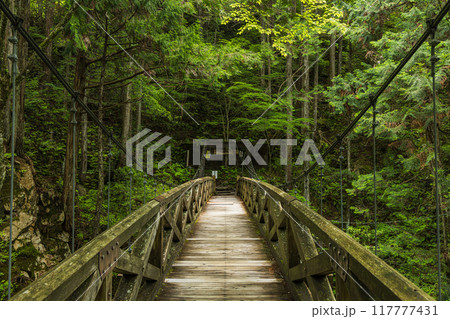 日本　岐阜県中津川市の夕森公園にある竜神の滝へ続く吊り橋 117777431