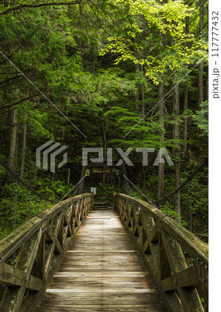 日本　岐阜県中津川市の夕森公園にある竜神の滝へ続く吊り橋 117777432