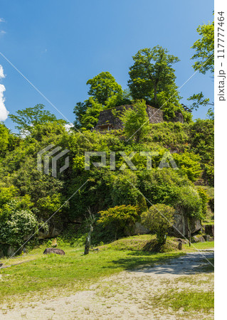 日本　岐阜県中津川市にある岩山の上に建つ苗木城の天守展望台 117777464